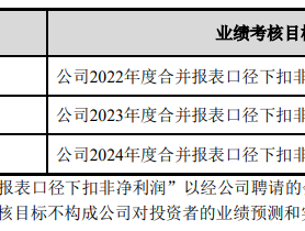 鸿合科技、至纯科技“伪市值管理”疑云：股权激励期间股东持续减持 业绩不达标高管薪资仍大涨